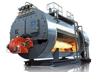 WNS/SZS 系列燃煤粉蒸汽、热水系列锅炉